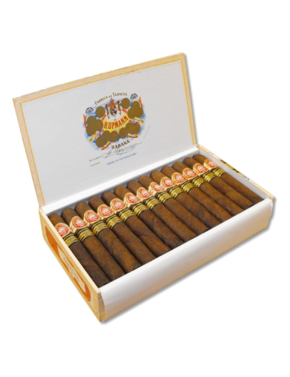 Robustos anejados 2016